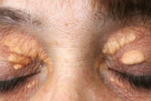 Screenshot-2025-10-21-141020