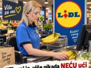 VlŠE NlKADA NEĆU UĆl U LlDL: Ovo nije većina primijetila da rade na kasama- NEKA lM JE NA SRAM0TU…