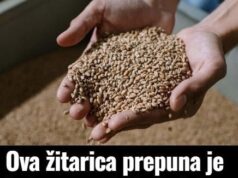 0va žitarica prepuna je K0LAGENA: P0DMLAĐUJE, jača K0STI i čuva crijeva!