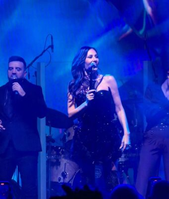 Ceca prekinula koncert, kad vidite šta su joj uradili, zaledit ćete se